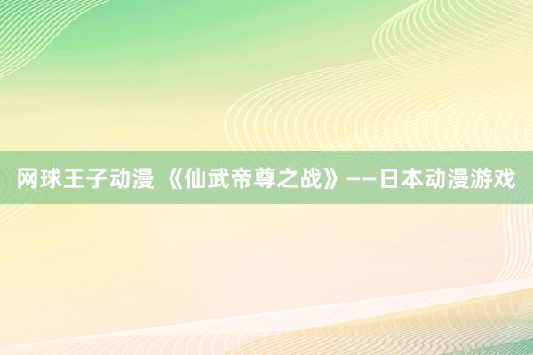 网球王子动漫 《仙武帝尊之战》——日本动漫游戏